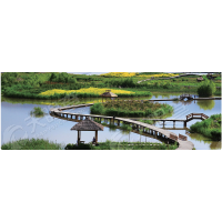 甘肃华羚实业集团有限公司